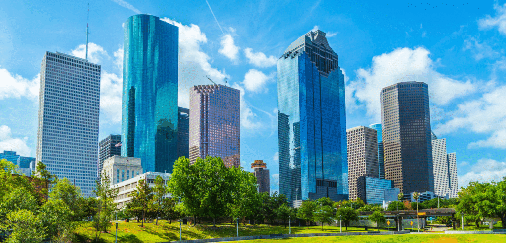Pri-Med Southwest, Houston landscape